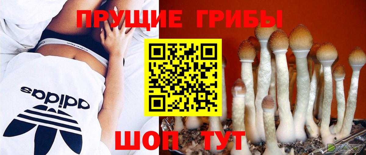 Псилоцибиновые грибы прущие грибы  Вход с VPN  Рязань 